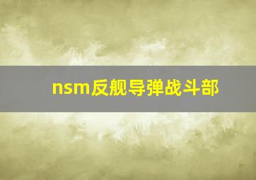 nsm反舰导弹战斗部