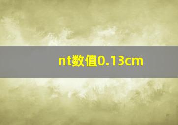 nt数值0.13cm