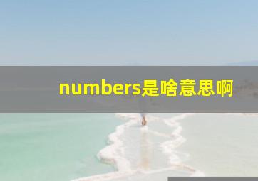 numbers是啥意思啊