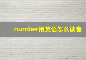 number用英语怎么读音