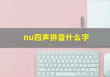 nu四声拼音什么字