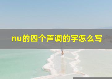 nu的四个声调的字怎么写