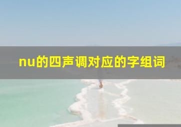 nu的四声调对应的字组词