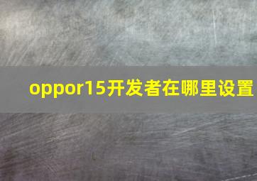 oppor15开发者在哪里设置