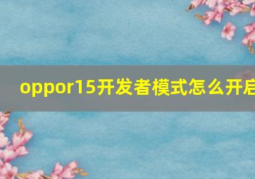 oppor15开发者模式怎么开启