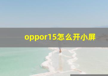 oppor15怎么开小屏