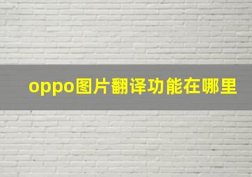 oppo图片翻译功能在哪里