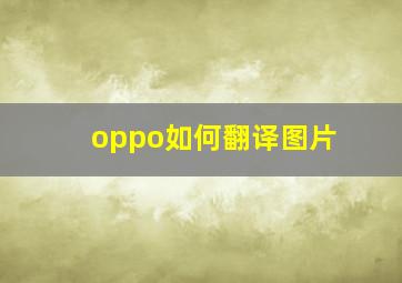 oppo如何翻译图片