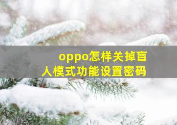 oppo怎样关掉盲人模式功能设置密码