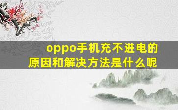 oppo手机充不进电的原因和解决方法是什么呢