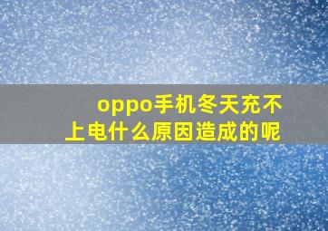 oppo手机冬天充不上电什么原因造成的呢