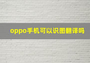 oppo手机可以识图翻译吗