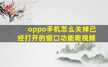 oppo手机怎么关掉已经打开的窗口功能呢视频