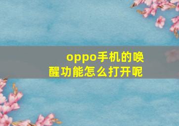 oppo手机的唤醒功能怎么打开呢