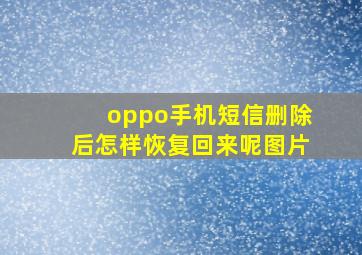 oppo手机短信删除后怎样恢复回来呢图片