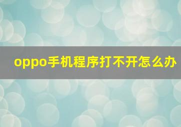 oppo手机程序打不开怎么办