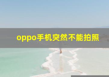 oppo手机突然不能拍照