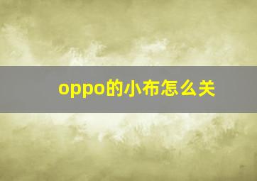 oppo的小布怎么关