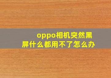 oppo相机突然黑屏什么都用不了怎么办