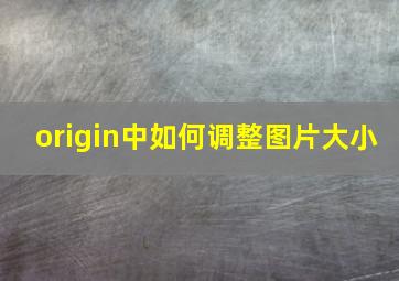 origin中如何调整图片大小