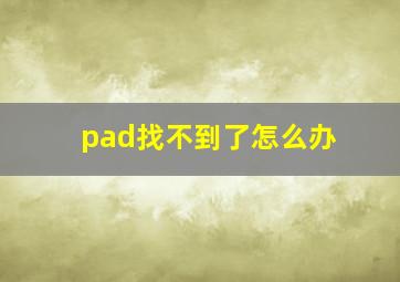 pad找不到了怎么办