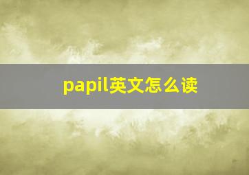 papil英文怎么读