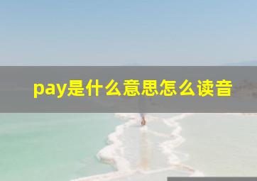 pay是什么意思怎么读音