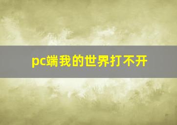 pc端我的世界打不开