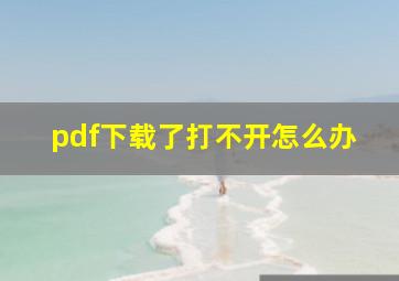 pdf下载了打不开怎么办