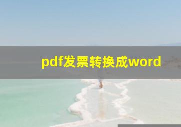 pdf发票转换成word