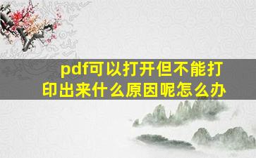 pdf可以打开但不能打印出来什么原因呢怎么办