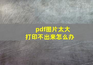 pdf图片太大打印不出来怎么办