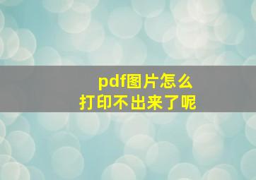 pdf图片怎么打印不出来了呢