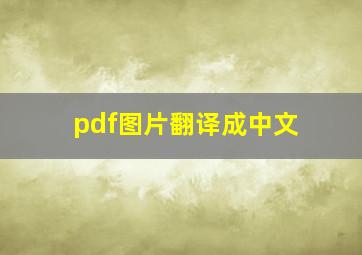 pdf图片翻译成中文