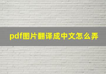 pdf图片翻译成中文怎么弄