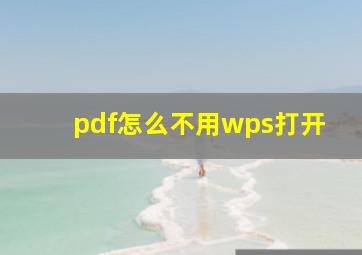 pdf怎么不用wps打开