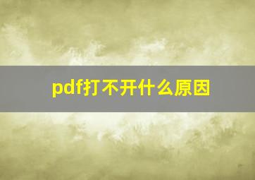 pdf打不开什么原因