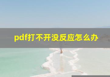 pdf打不开没反应怎么办