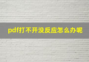 pdf打不开没反应怎么办呢