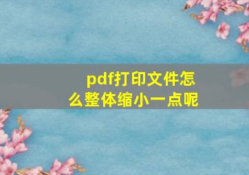 pdf打印文件怎么整体缩小一点呢