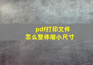 pdf打印文件怎么整体缩小尺寸