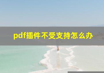 pdf插件不受支持怎么办