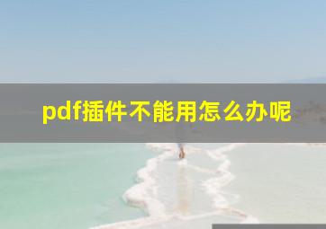 pdf插件不能用怎么办呢