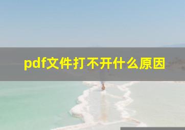 pdf文件打不开什么原因