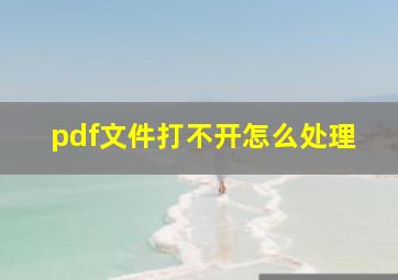 pdf文件打不开怎么处理