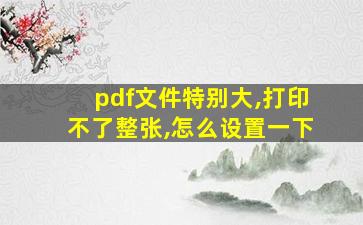 pdf文件特别大,打印不了整张,怎么设置一下