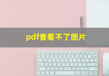 pdf查看不了图片