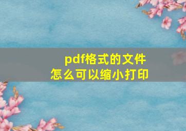 pdf格式的文件怎么可以缩小打印