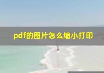 pdf的图片怎么缩小打印