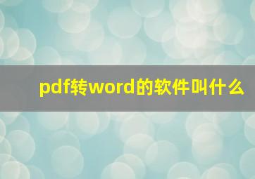 pdf转word的软件叫什么